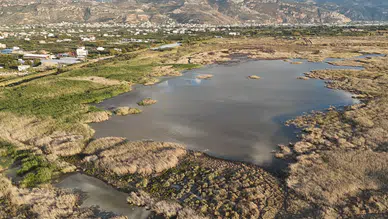 Milleyha'da yeniden kuş cıvıltısı yankılanmaya başladı