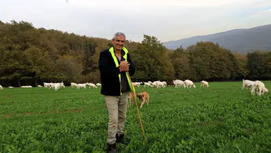 Besiciler için bedava ot: Yüzü gülen üreticinin günlük kârı 800 lira