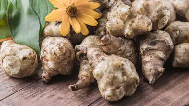 Evde zencefil yetiştirmenin en kolay yolu: Zencefile para vermeyin