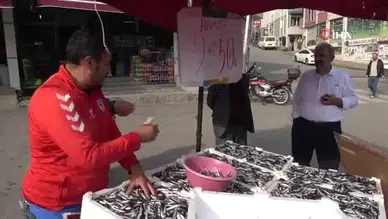 Samsunspor fanatiği balıkçı çıldırdı: Hamsiyi 25 TL’den sattı