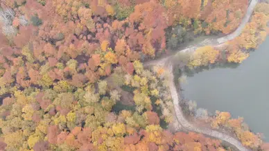 Turizm kenti Düzce'nin yeni rotası Korugöl'de fotosafari yapılıyor