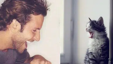 Daha fazla miyavlıyorlar: Kediler derdini erkeklere anlatamıyor