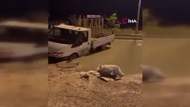 Yağıştan çöken yolda bir kamyonet böyle mahsur kaldı