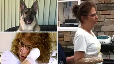 Evinde kedi ve köpek besleyenler dikkat: Genç kadının kol ve bacaklarını kestiler