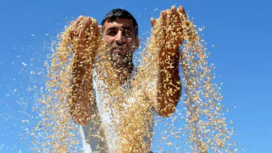 Konyalı çiftçiler kara kara düşünüyor: Tarımsal girdi fiyatları can yakacak