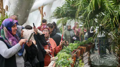 Selçuklu'da Şeb-i Arus yoğunluğu: Sembol mekanlar doldu taştı