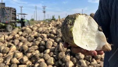 Karaman-Karapınar-Ereğli Bölgesi Çiftçilerinin ortak şikayeti