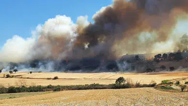 Çanakkale'de orman yangını çıktı