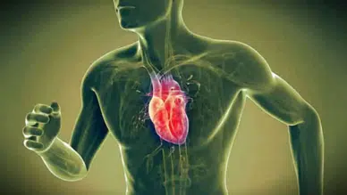 Soğuk havalar kalp krizi riskini arttırır mı? Bugün dünya kalp günü