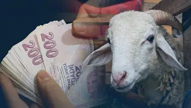 Kurbanlıkların fiyatı katlandı: Küçükbaş 15 bin TL'den başlıyor