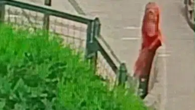 Battaniyeyi saniyeler içinde çaldı: Önce çevreyi kolladı