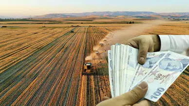 Buğday alım fiyatları açıklandı: 2026 yılında beklentiler karşılanmadı