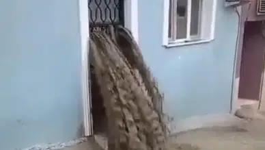 Faciaya ramak kaldı: Sel evin içinden böyle geçti