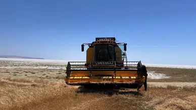 Konya'dan bereket fışkırıyor: Hasat başladı çiftçilerin yüzü gülüyor