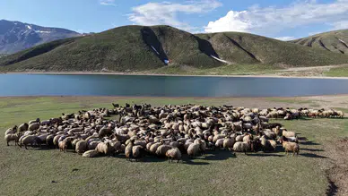 Göçerler 5 aylık yayla sezonunu açtı