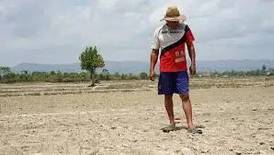 ‘Etkileri sert olacak, daha uzağa yayılacak’: BM'den El Nino uyarısı