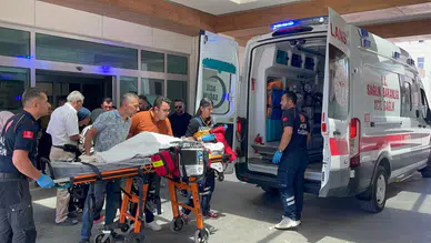 Konya'ya sevk edilen 3 yaşındaki çocuk yaşam mücadelesi veriyor: Köpek saldırdı