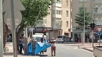 Konya'da yer gök meyve: Vatandaş yollardan kayısı topluyor