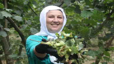 ‘Yeşil altın': Her türlü derde deva