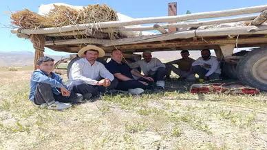 Bereket hasadı: Sıcak havaya rağmen çiftçilerin tarlada