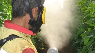 Konyalı çiftçileri yakından ilgilendiriyor: B-Reçete dönemi başlıyor