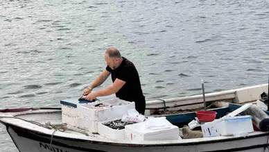 Böyle servis dost başına: Denizden direkt sofraya taze balık