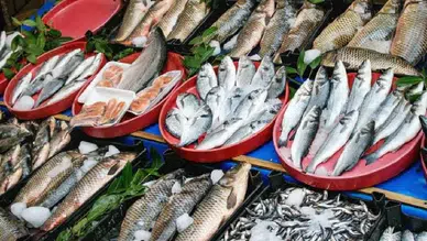 Hayatımız plastik oldu: Yediğimiz balıkta bile mikro plastik çıktı