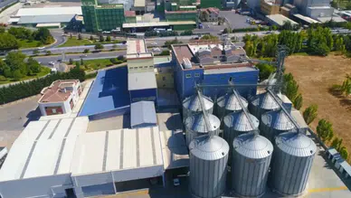 Türkiye'nin yeni ekmeği tarımın başkenti Konya’da geliştirildi