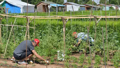Hobi bahçesi olanlar yandı: Milyonluk cezalar geldi