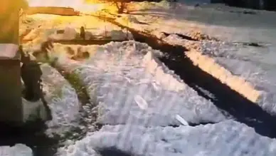 Kurt sürüsünü kürekle daldı: Dünya bu görüntüyü konuşuyor