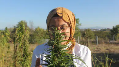 Konya'nın yasağı kalkmıştı: Üretimde yeni lider olması bekleniyor