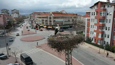 Konya'nın leylekleri direkteki yuvalarına geldi