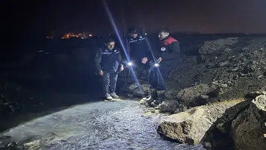 İnci kefali göçü başladı: Görsel şölen herkesi şaşırttı