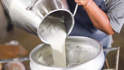 Konyalılar en çok bu sütü tercih ediyor. Kaşık kaşık kaymak çıkıyor