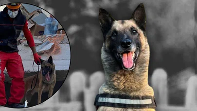 6,8 ve 6,8 büyüklüğündeki depremlerde aktif rol oynamıştı! Kahraman köpek Bob'a acı veda...