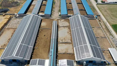 Konya'daki dev çiftlikten enerji yatırımı. Elektrik ihtiyacının tamamını güneşten karşılayacak