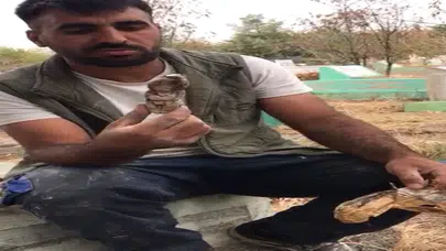 Mezarlıklarda çıkanlar insanları ürkütüyor