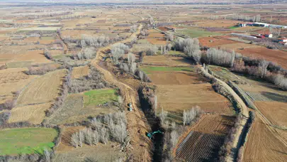 Konya'nın tarlaları merak uyandırdı: Yeşil karıncalar işbaşında