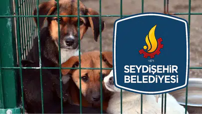 Seydişehir Belediyesi mama satın alacak