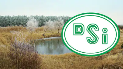 DSİ Konya'da Etüd Proje hizmeti alacak