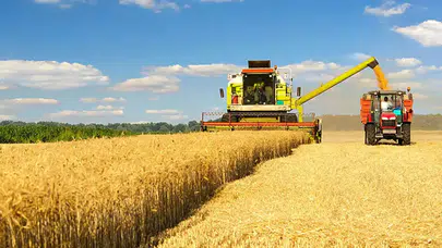 Gıda krizi: Konya'da tarımsal üretimi canlandırmak için üçlü senaryo