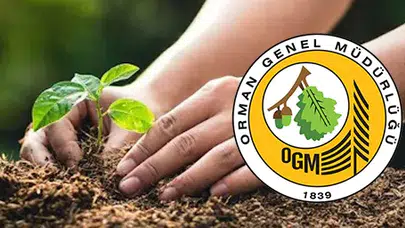 Ereğli Orman Fidanlığı bakım ve üretim hizmeti alacak
