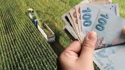 Çiftçiye müjde: Ayçiçeği, soya, pamuk, buğday ve baklagillerde 2026 destekleri