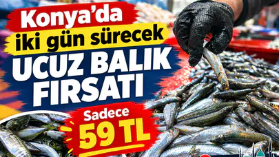 Konya’da iki gün sürecek ucuz balık fırsatı: Sadece 59 TL