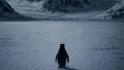 Belirsizliğe cesaretle adım attı: Nihilist Penguen olayı nedir?