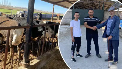 Konya'da kurbanlıklar görücüye çıkıyor: Meşhur çiftlik fiyatı duyurdu