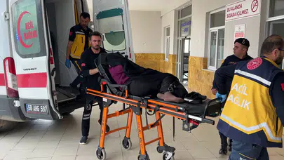 Hikayeler gerçek oldu: İnek bostana girdi, ölü ve yaralılar var