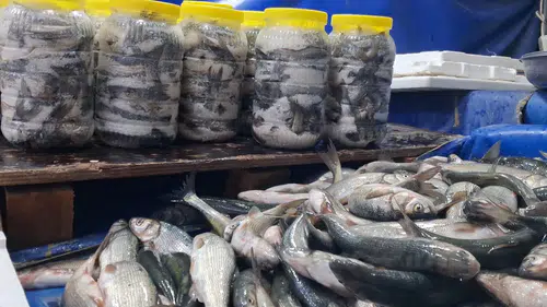 Balık tezgâhlarının İnci"si oldu: En çok tercih edilen o