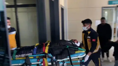 O şehirde dehşet: 2 göçmen yol kenarında vurulmuş halde bulundu