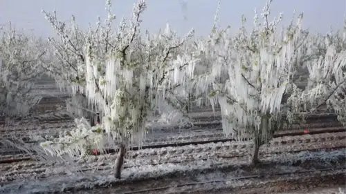 Konya ve bölgedeki iller için Meteoroloji'den don uyarısı: Yağışlar sürecek